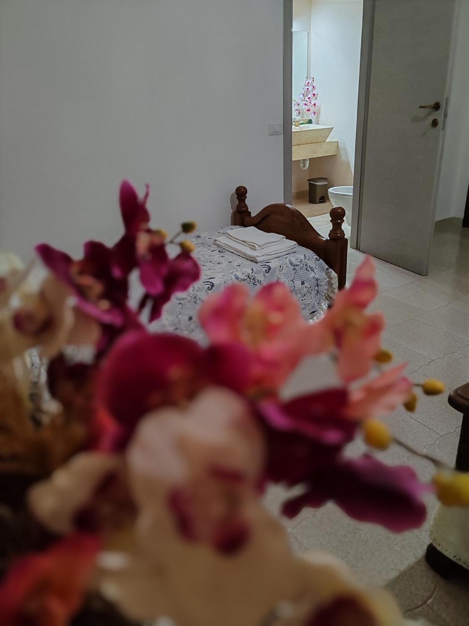 Zia Mia B&B 올비아 외부 사진